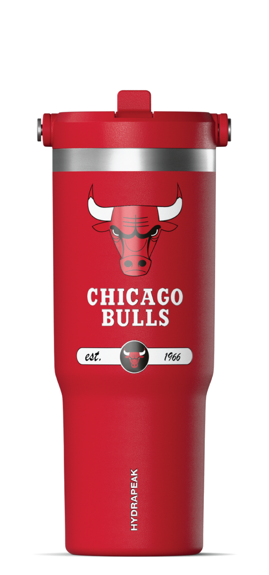 NBA 32oz Nomad Tumbler with Handle and Sip Lid - Chicago Bulls
