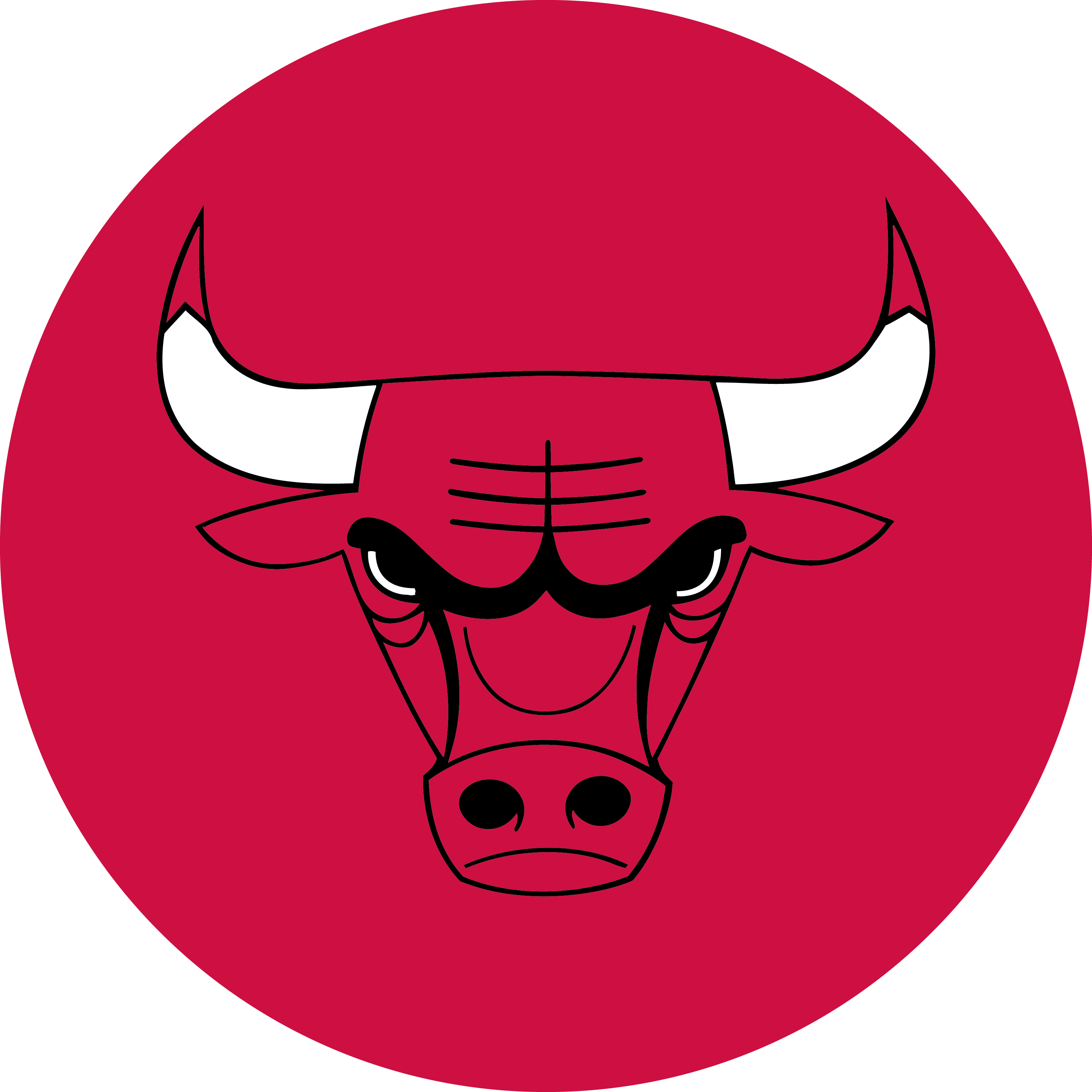 chicagobulls  Variant