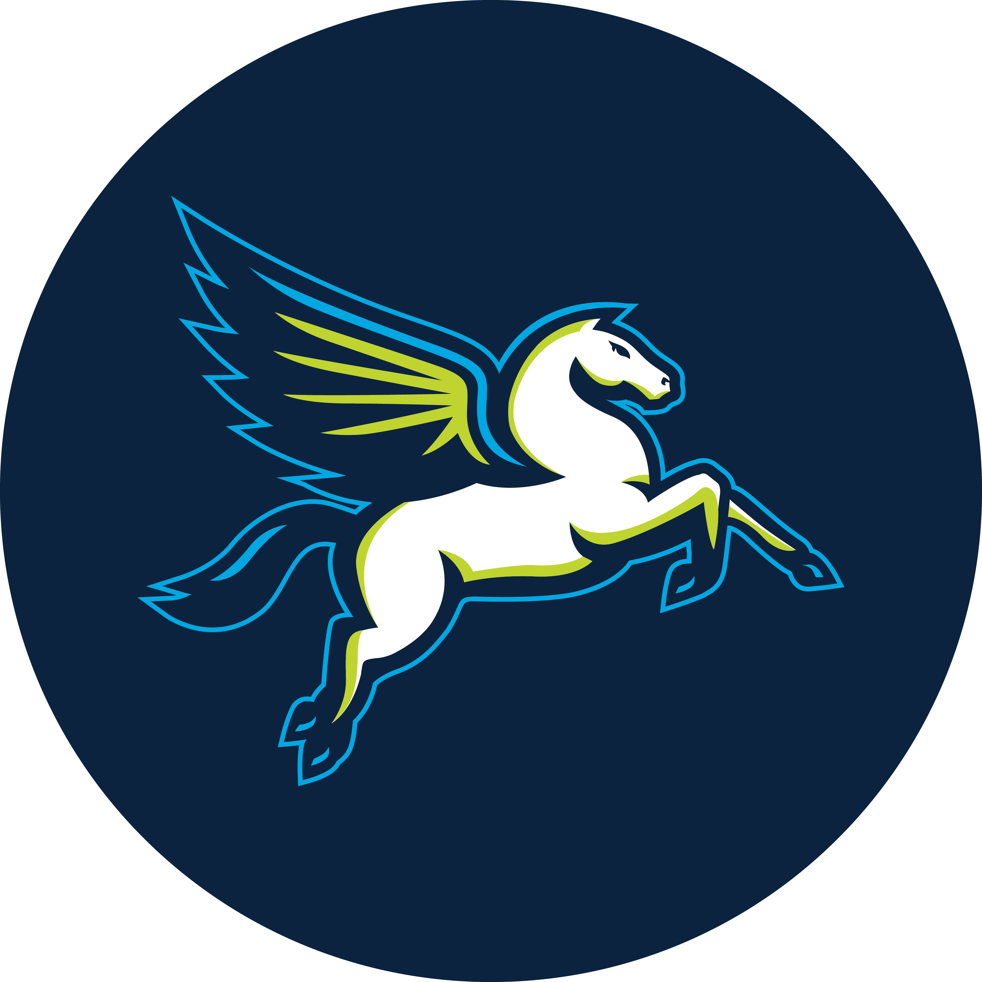 dallaswings  Variant