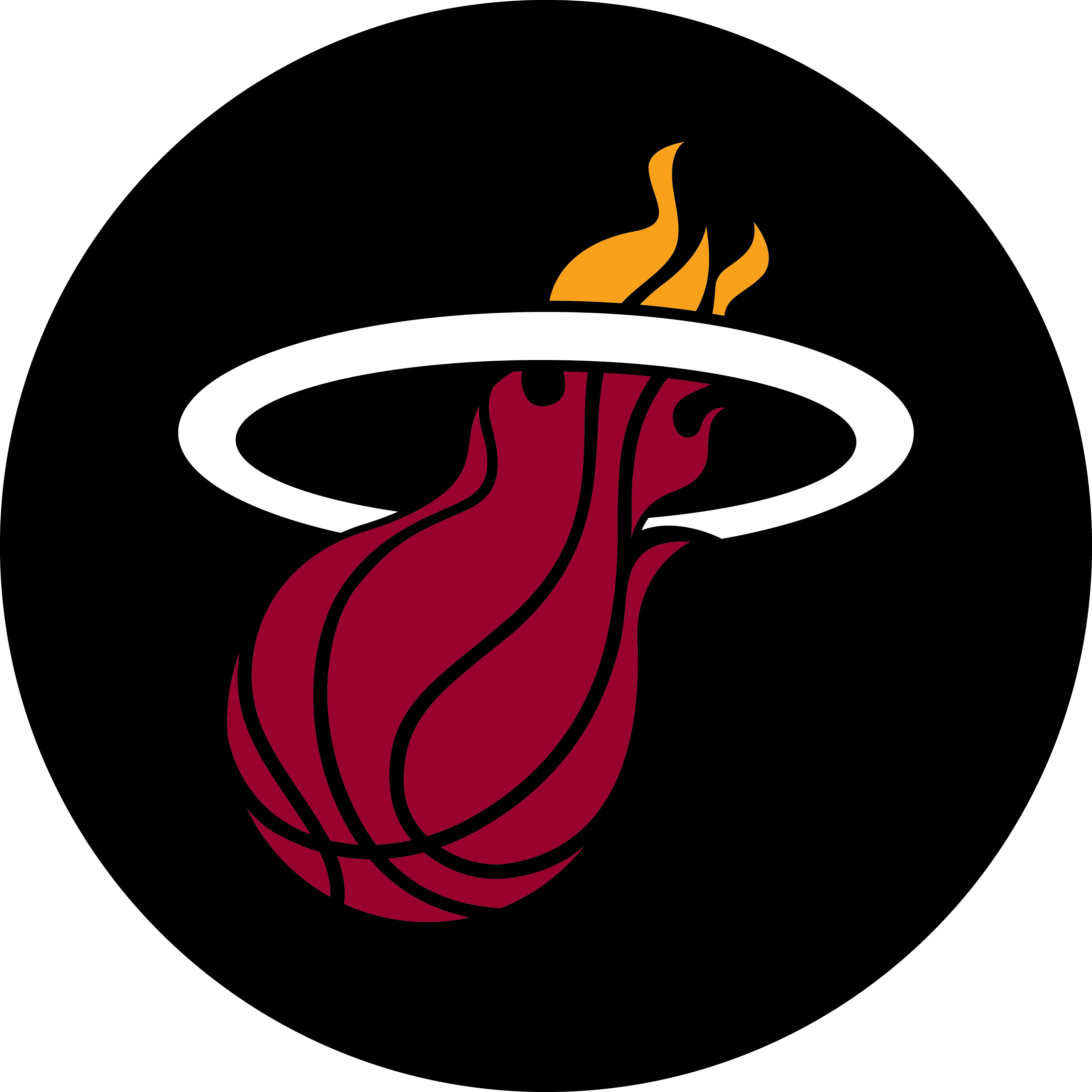 miamiheat  Variant